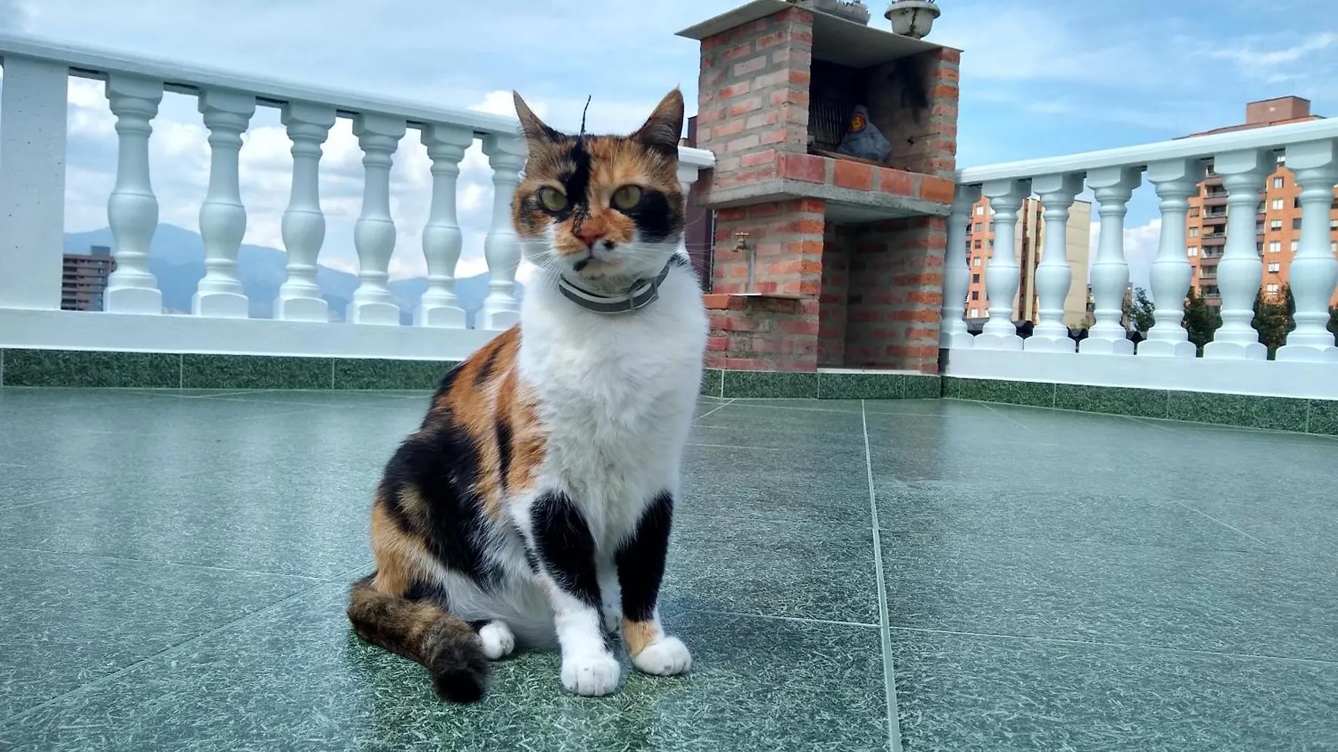 Casa vacanze Casa Hevenie, Hospedaje Familiar Comodo Y Bien Ubicado Medellín
